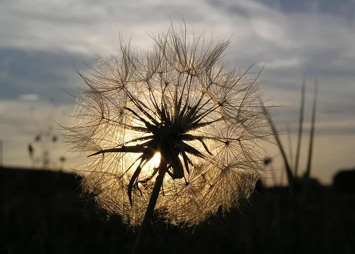 Tornacos - Hotell 3*